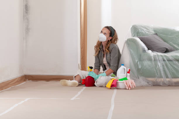 Reliable Mold Inspection contractor in New Berlin, IL by WQB Mold Removal
